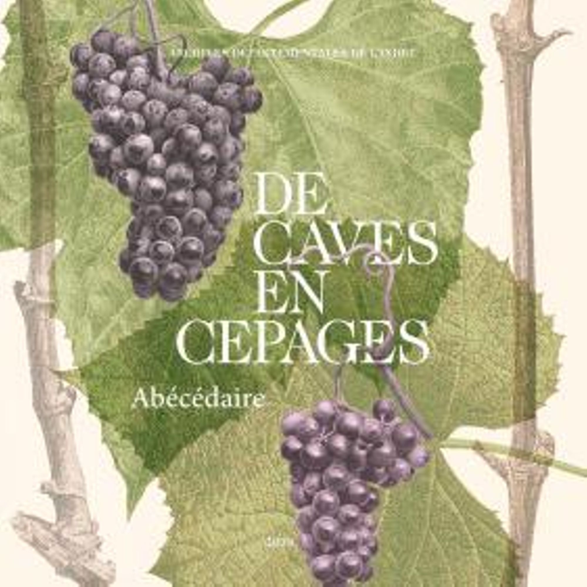 De caves en cépages