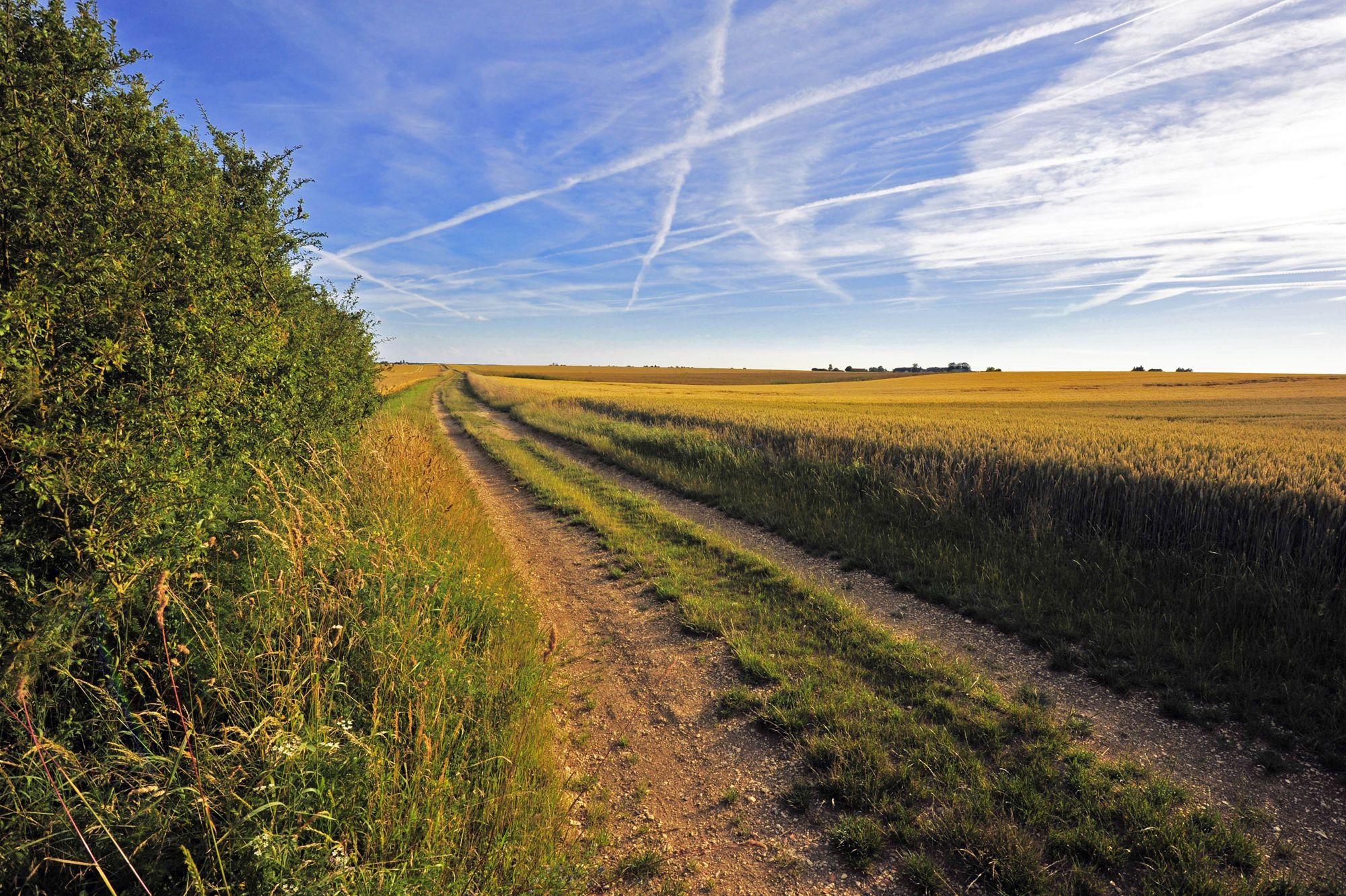 La grande voie d’Argentomagus à Bourges (Avaricum) dans les environs de Ségry (Indre)